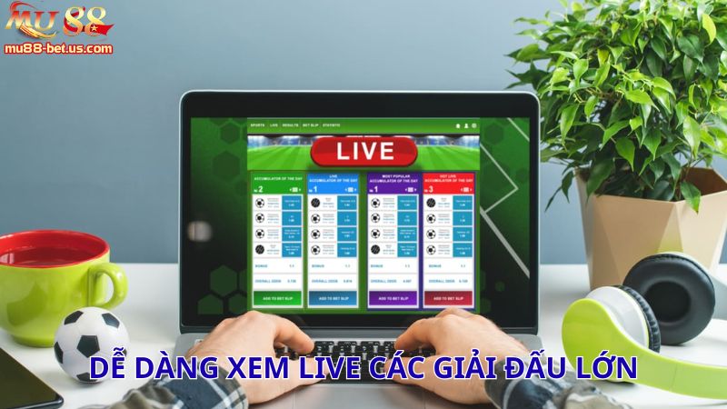 Dễ dàng xem live các giải đấu lớn