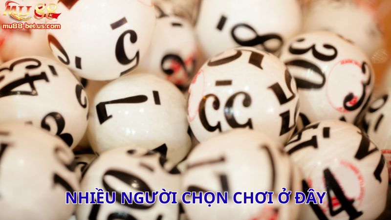 Nhiều người chọn chơi ở đây vì có nhiều ưu điểm